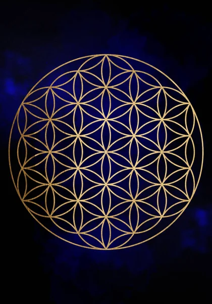 Seed Flower Life Lotus Icon Yantra Mandala Sacred Geometry Golden —  Fotos de Stock