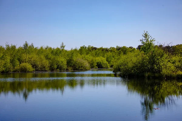 荷兰美丽的森林湖泊 Maasduinen 林堡美丽湖景全景 — 图库照片