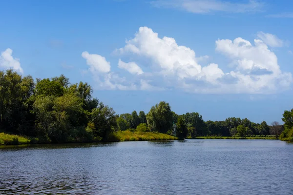 Piękne Jezioro Letnim Zielonym Lesie Brzeg Jeziora Odbicie Tła Letni — Zdjęcie stockowe