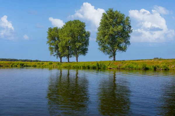 Beautiful Lake Summer Green Forest Lake Shoreline Background Reflection Summer — Stockfoto