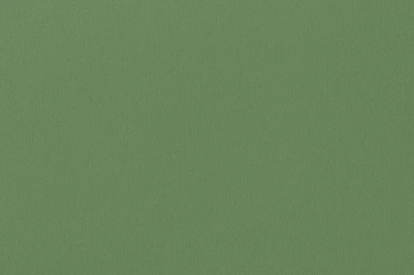 Surface Olive Green Cardboard Paper Texture Cellulose Fibers Background Elegant — 图库照片