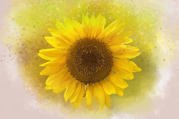 水彩画のひまわり スクラップブックやグリーティングカードの花のイラスト — ストック写真