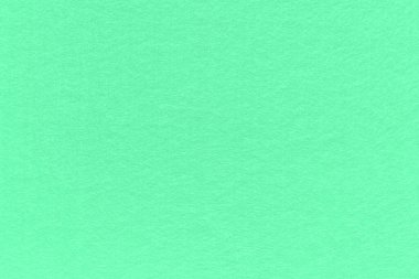 The surface of mint cardboard. Paper texture with cellulose fibers. Background with elegant tint.