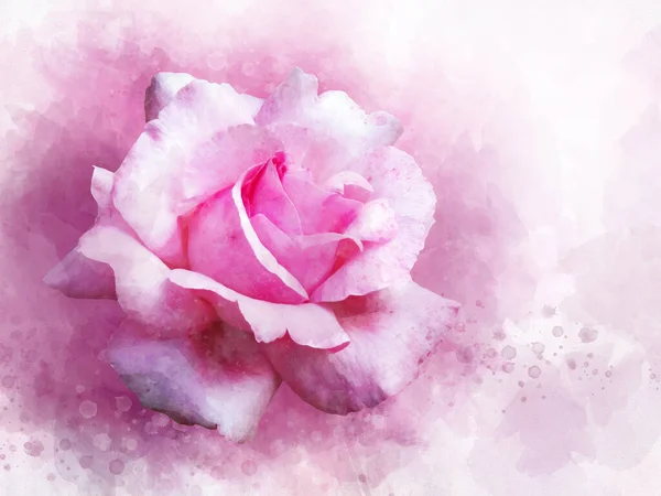 Watercolor Drawing Vibrant Pink Rose Flower Botanical Art Decorative Element — Stock Photo, Image