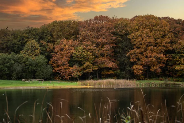 Autumn Landscape Beautiful Dutch Landscape Little Lakes Late Fall Maasduinen — Stock Photo, Image