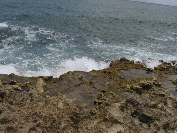 Wybrzeże Punta Cuna Koralowcami — Zdjęcie stockowe