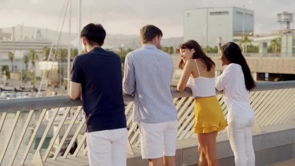 Groep van gelukkige jonge gemengde ras vrienden die samen rondhangen aan de kust op zonnige zomerdag — Stockvideo