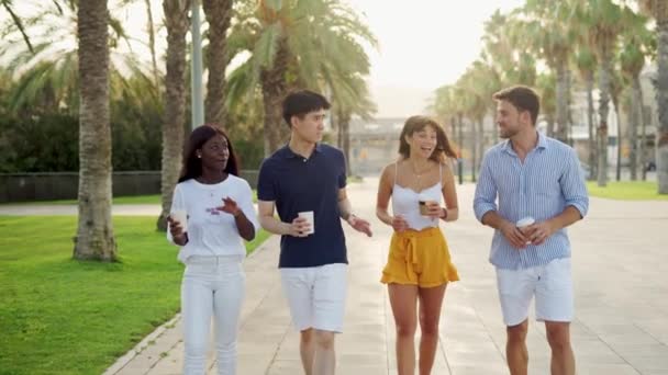 快乐的朋友们一边聊天，一边在阳光明媚的小巷里与棕榈树散步，并带走咖啡 — 图库视频影像