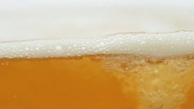 Bardakta kaynayan taze bira.