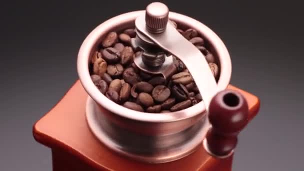 Grains de café macro — Video