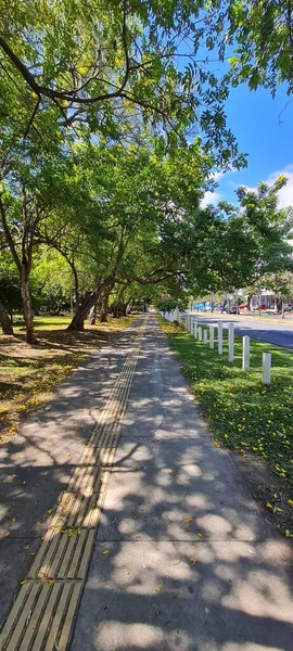 Sabana Park- Kosta Rika