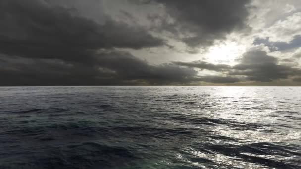 这个鱼群运动的图像画面平静的海洋背景在无缝环上 — 图库视频影像
