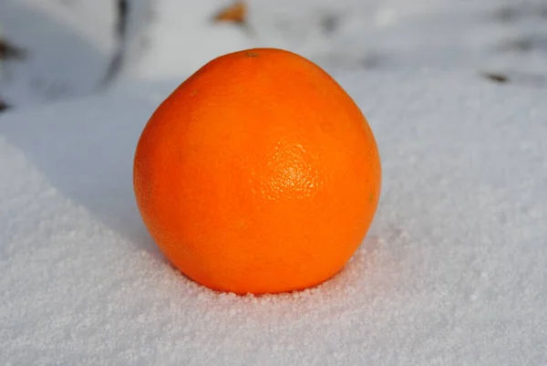 Stilleben Färsk Apelsin Vit Snö — Stockfoto