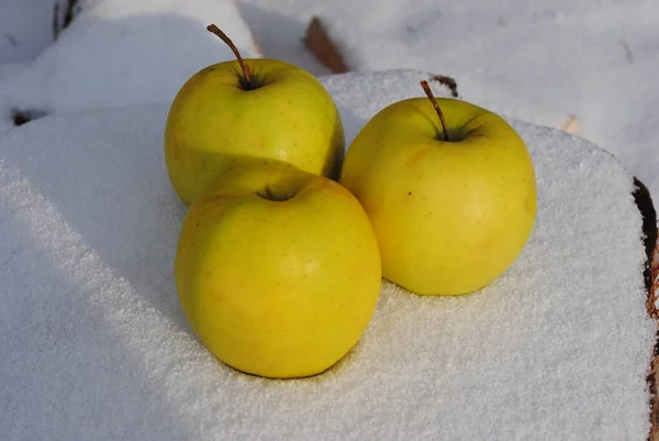 Still Life Yellow Apple Fresh Snow — Stock Photo, Image