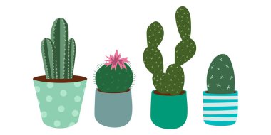 Düz Stil Vektör Kaktüs seti. İzole Oda Bitkileri Koleksiyonu. Simge çizimleri, iç tasarım, baskılar