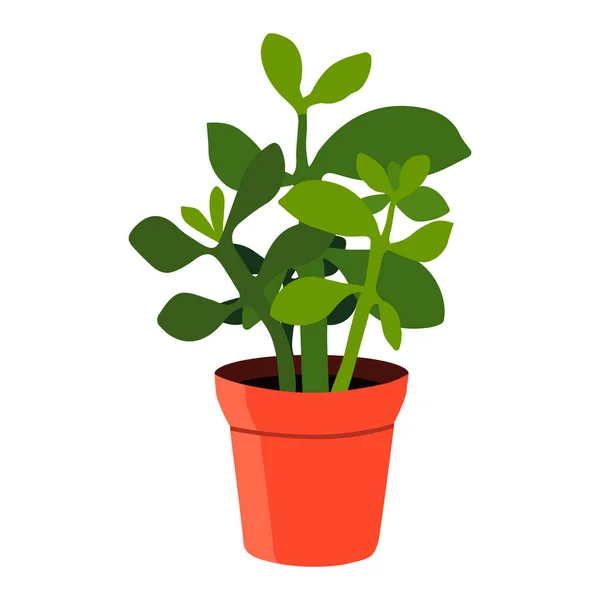 Room Plant Bowl Flat Style Vector Image Highlighted White Background — Stock Vector