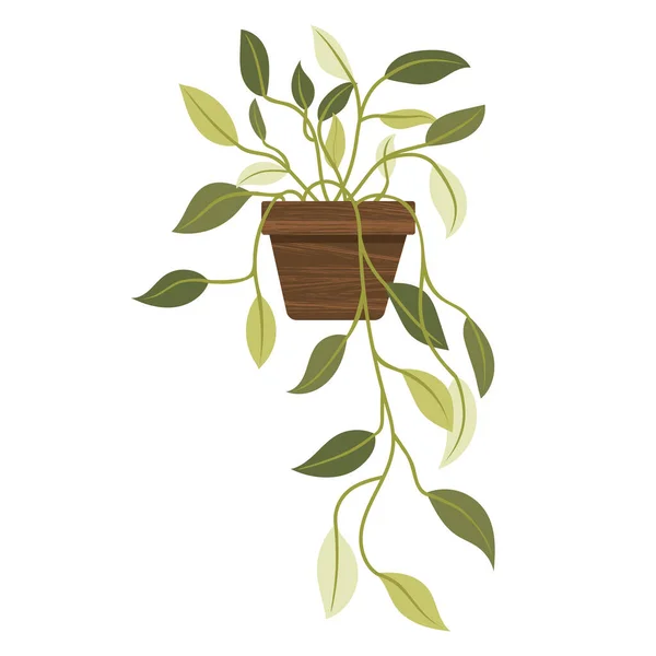 Room Plant Bowl Flat Style Vector Image Highlighted White Background — Stock Vector