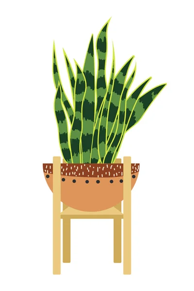 Une Plante Chambre Dans Bol Dans Style Plat Image Vectorielle — Image vectorielle