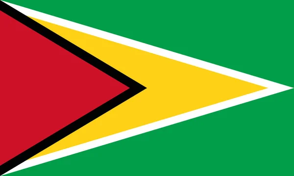 National Flag Operative Republic Guyana Golden Arrowhead Green Field Black — 스톡 벡터