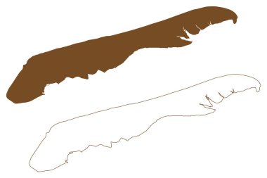 Terschelling Adası (Hollanda Krallığı, Batı Frizya Adaları) harita vektör çizimi, çizim Skylge haritası