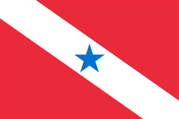 Flag Para State Federative Republic Brazil — Stok Vektör