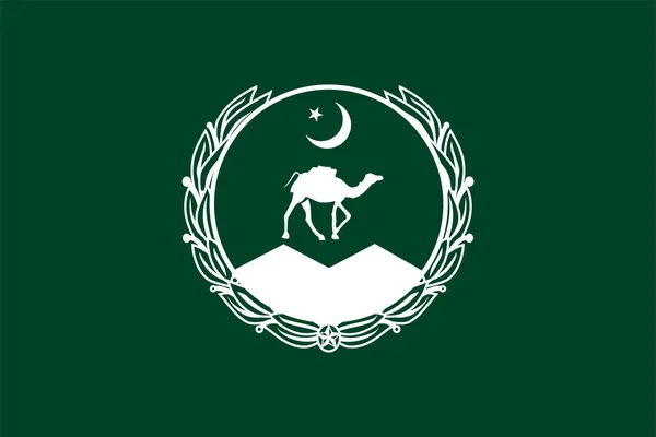Bandiera Balochistan Repubblica Islamica Del Pakistan Vettore — Vettoriale Stock