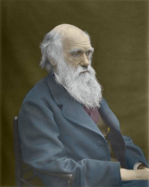 Charles Darwin fotoğrafının el boyaması siyah ve beyaz 1874. Fotoğraflar İngiliz doğabilimci, jeolog ve biyolog tarafından elle renklendirilmiş. En çok evrim bilimine katkılarıyla tanınıyor. Elle renklendirilmiş