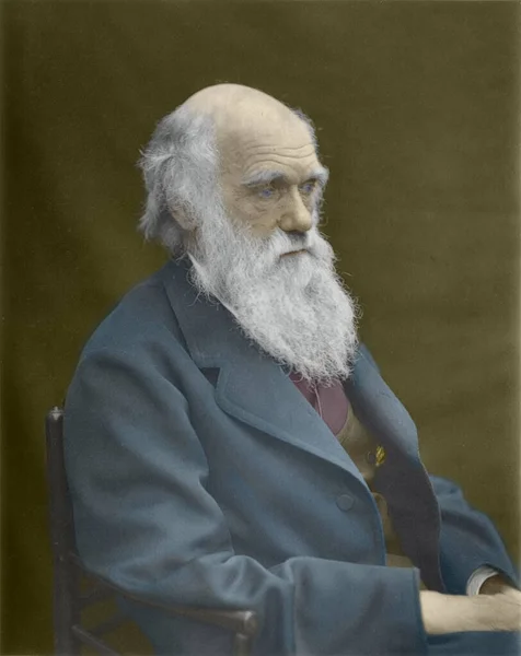 Ręczne Kolorowanie Fotografii Charlesa Darwina Czarno Białe 1874 Fotografia Ręcznie — Zdjęcie stockowe