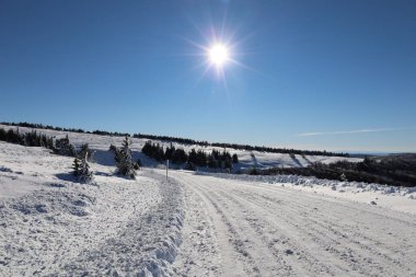Mont Aigoual 'daki bir vadiye bak, Gard departmanının en yüksek noktası.
