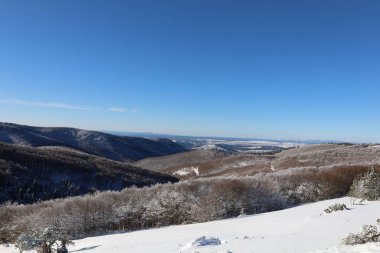 vue sur une montagne du Mont Aigoual 