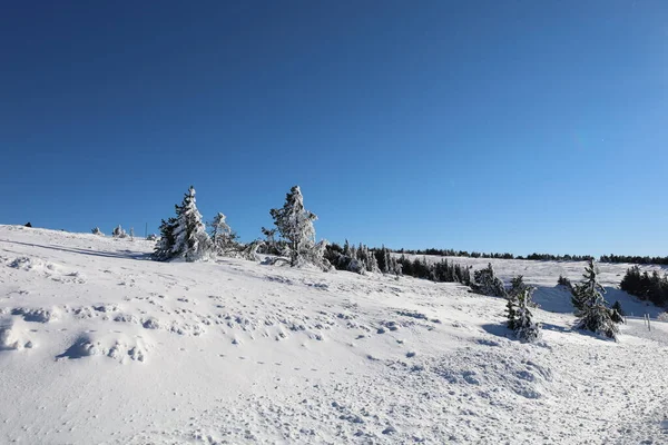 Mont Aigoual 'daki bir vadiye bak, Gard departmanının en yüksek noktası.