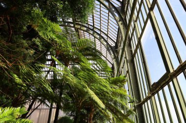 Jardin des Plantes 'in Paris' in 5. semtindeki Jardin d 'hiver serasının iç manzarası. 