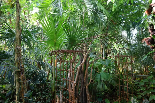 Vista Del Interior Del Invernadero Jardín Hiver Situado Jardín Des —  Fotos de Stock