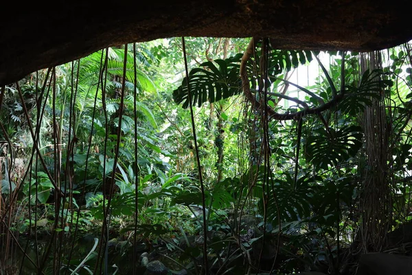 Vista Dell Interno Della Serra Jardin Hiver Situata Del Jardin — Foto Stock