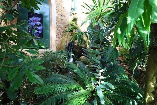 Pohled Interiér Skleníku Jardin Hiver Který Nachází Jardin Des Plantes — Stock fotografie