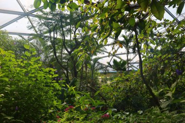 İsviçre 'nin Chitres şehrinde yer alan Papiliorama' nın iç mekanı. Kompleks, çeşitli biyootoplar üreten birkaç kupadan oluşuyor..