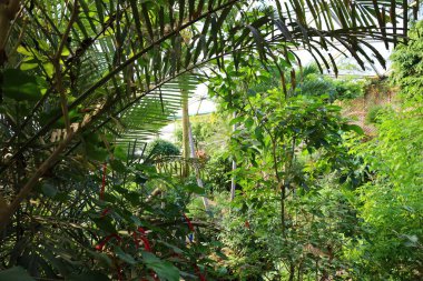 İsviçre 'nin Chitres şehrinde yer alan Papiliorama' nın iç mekanı. Kompleks, çeşitli biyootoplar üreten birkaç kupadan oluşuyor..