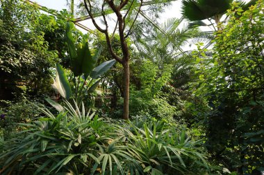 İsviçre 'nin Chitres şehrinde yer alan Papiliorama' nın iç mekanı. Kompleks, çeşitli biyootoplar üreten birkaç kupadan oluşuyor..