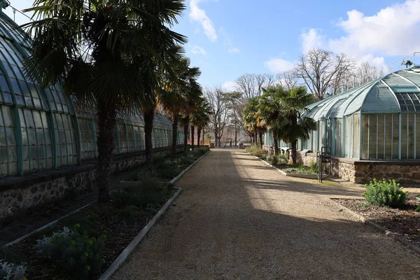 Jardin Des Serres Auteuil Witchは パリ16区のBois Boulogneの南端に位置する主要な温室複合施設内にある植物園です — ストック写真