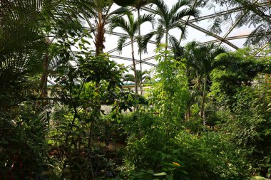 İsviçre 'nin Chitres şehrinde yer alan Papiliorama' nın iç mekanı. Kompleks, çeşitli biyootoplar üreten birkaç kupadan oluşuyor..