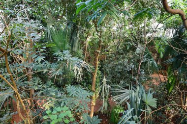 İsviçre, Chitres 'teki Papiliorama manzarası. Çeşitli biyootoplar üreten birkaç kupadan oluşan bir kompleks.. 