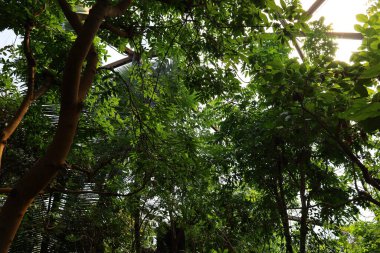 İsviçre, Chitres 'teki Papiliorama manzarası. Çeşitli biyootoplar üreten birkaç kupadan oluşan bir kompleks.. 