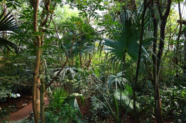 İsviçre, Chitres 'teki Papiliorama manzarası. Çeşitli biyootoplar üreten birkaç kupadan oluşan bir kompleks.. 