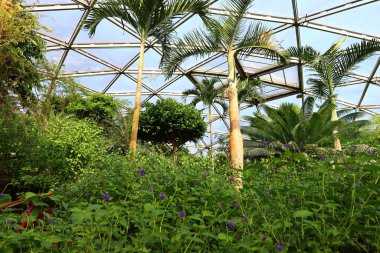 İsviçre, Chitres 'teki Papiliorama manzarası. Çeşitli biyootoplar üreten birkaç kupadan oluşan bir kompleks.. 