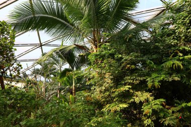 İsviçre, Chitres 'teki Papiliorama manzarası. Çeşitli biyootoplar üreten birkaç kupadan oluşan bir kompleks.. 