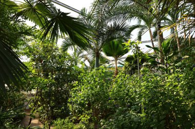 İsviçre, Chitres 'teki Papiliorama manzarası. Çeşitli biyootoplar üreten birkaç kupadan oluşan bir kompleks.. 