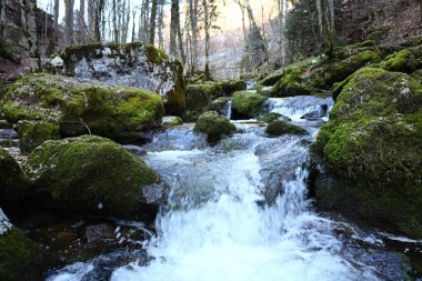 Douanne dağını geçen Douanne vadisinin manzarası, Biennne gölünün hemen yanında.