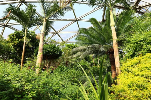 Vista Sulla Papiliorama Chitres Svizzera Tratta Complesso Composto Diverse Cupole — Foto Stock