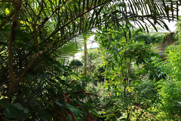 View Papiliorama Chitres Switzerland Complex Composed Several Cupolas Reproduce Various — Stock Photo, Image