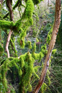 İsviçre 'nin Vaud kantonundaki Ferreyres, La Sarraz ve Chevilly komünleri arasında yer alan 